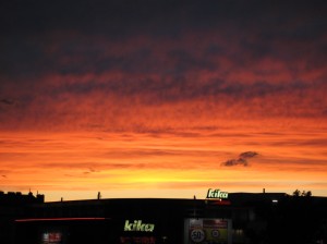 IMG_0983