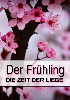 http://www.meinbildkalender.de/user/0/2/0/8/6/7/8/0/light_shop/h_1569251_0.jpg
