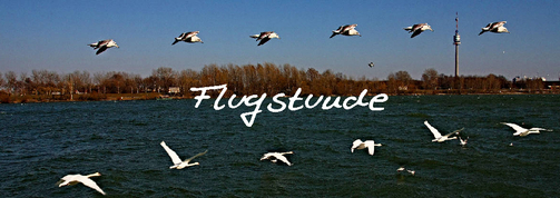 http://www.meinbildkalender.de/user/0/2/0/8/6/7/8/0/light_shop/h_1572191_0.jpg