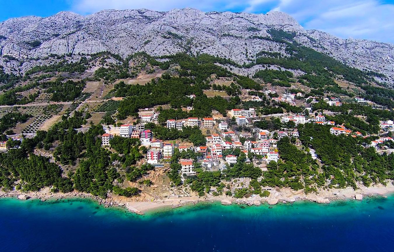 Marusici